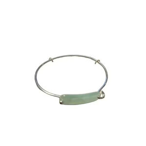 Bangle Bracelet Thin Silver Toned And Mint Green Lauren Conrad NWT Gift